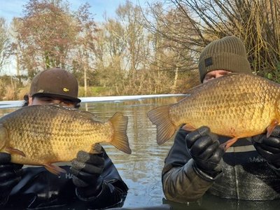 4-09 and 4-13 Crucian Carp