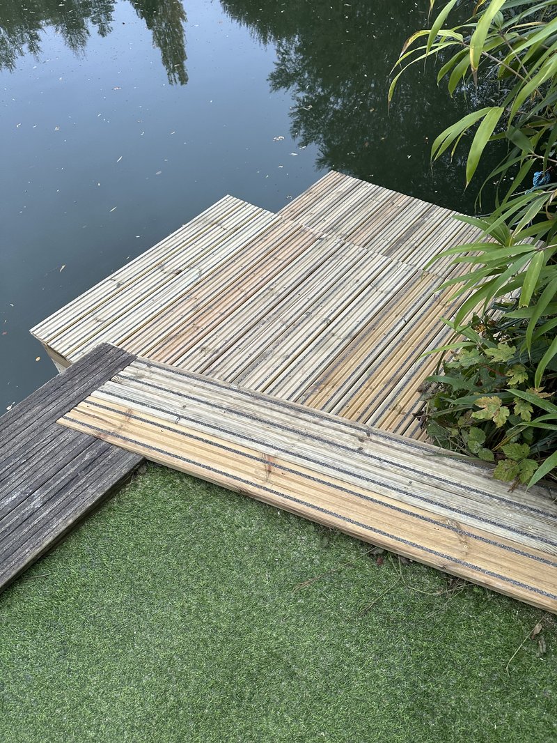New Egret steps